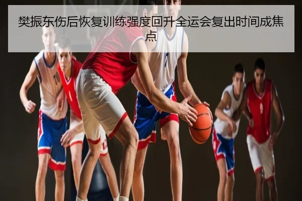 樊振东伤后恢复训练强度回升全运会复出时间成焦点