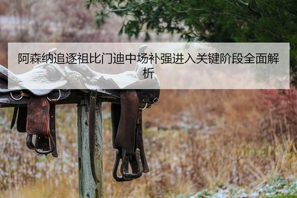 阿森纳追逐祖比门迪中场补强进入关键阶段全面解析